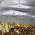 How Long Does PolyLevel Concrete Lifting Foam Last?