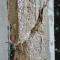 What Causes Deterioration in Buildings?