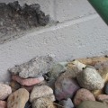 The Dangers of Concrete Peeling and Chipping