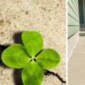 How to Repair a Crumbling Concrete Driveway